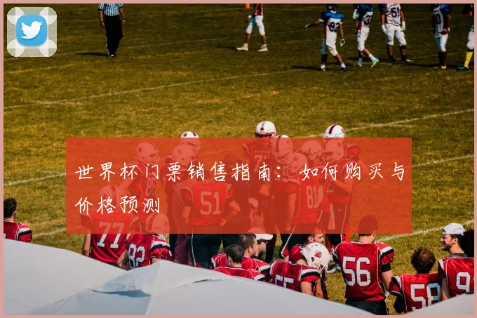 世界杯门票销售指南：如何购买与价格预测